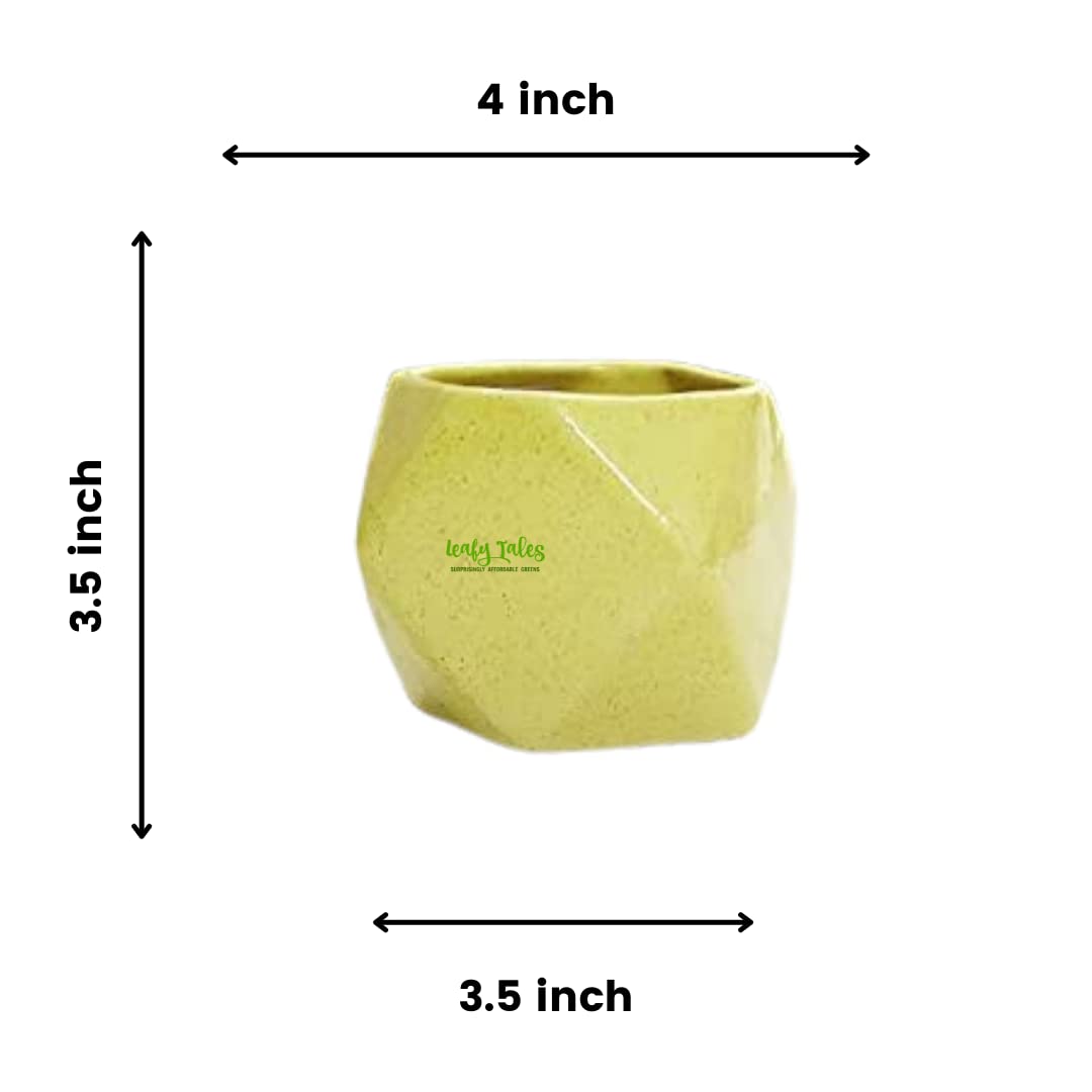 Leafy Tales Polygon Shape Ceramic Pot, Yellow, 1 pc (Polygon Yellow)
