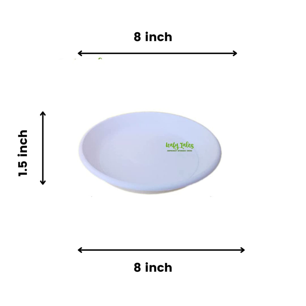 Leafy Tales Bottom Plate/Dripping Tray for Pots, White Color| (8-inch, White, Pack of 5)