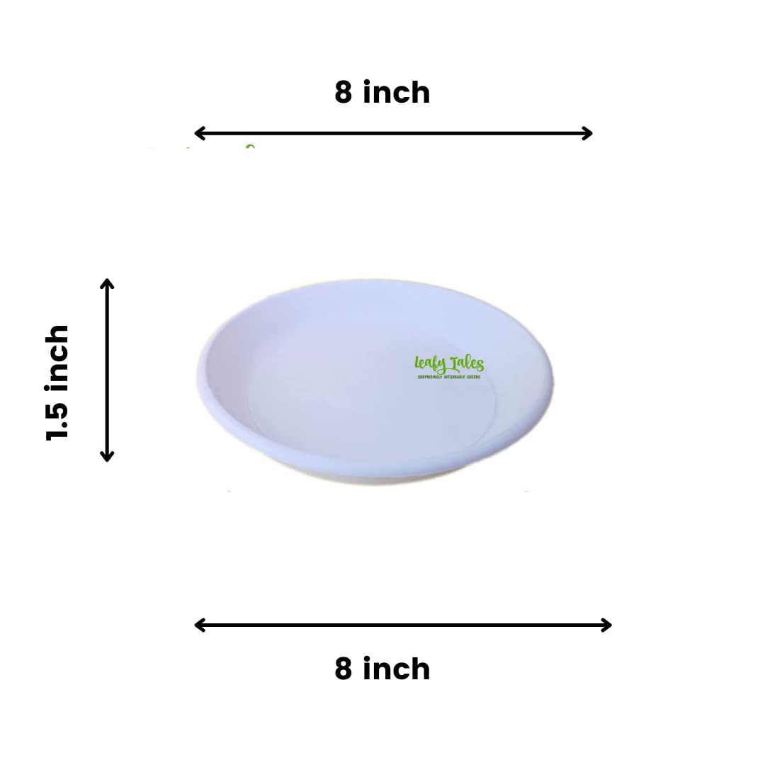 Leafy Tales Bottom Plate/Dripping Tray for Pots, White Color| (8-inch, White, Pack of 5)