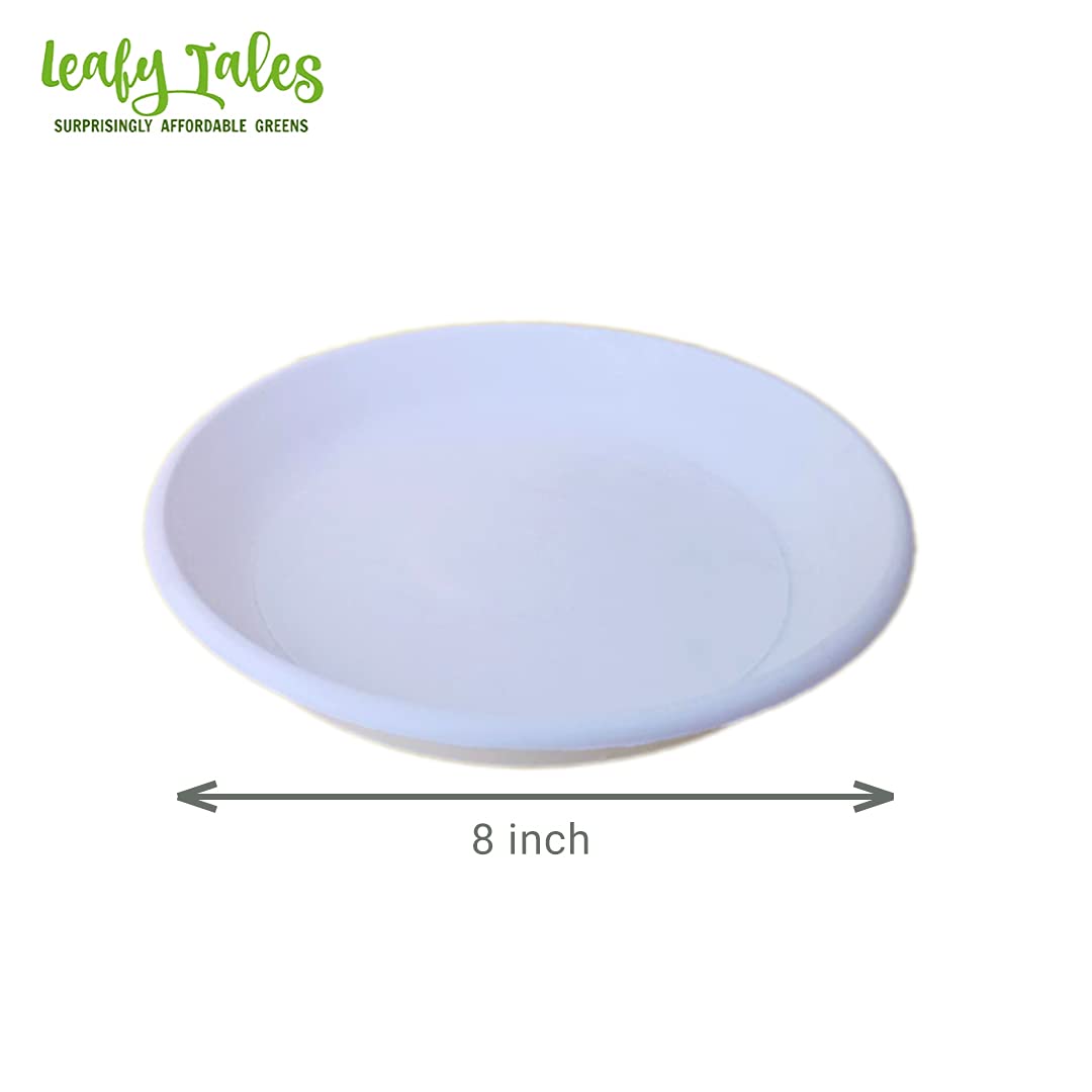Leafy Tales Bottom Plate/Dripping Tray for Pots, White Color| (8-inch, White, Pack of 5)