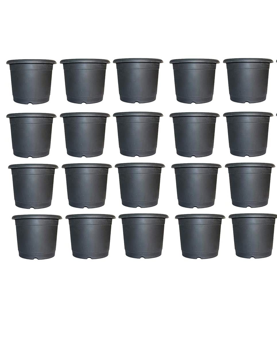 Leafy Tales UV Plastic Round Pots for Plants (6 Inches, Black, Pack of 20) | Lightweight Indoor Outdoor Garden & Balcony Planters