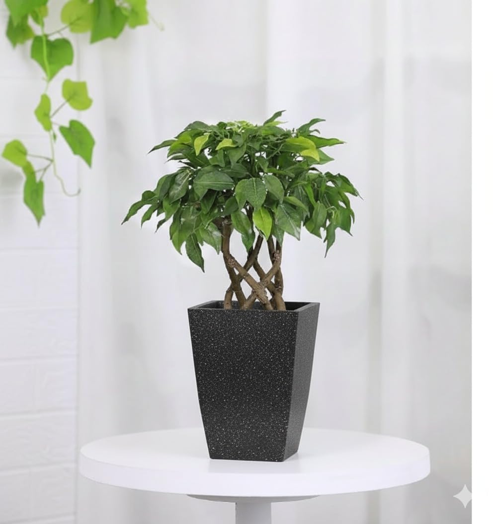 Leafy Tales Modern Roto Square Tower Planter for Home Décor 12 INCH, Highly Durable,Lightweight Indoor Outdoor Planter, Flower Pot Gamla