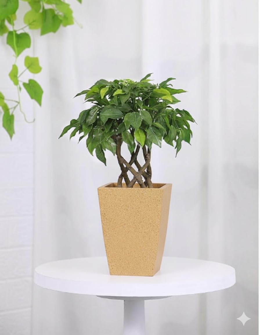 Leafy Tales Modern Roto Square Tower Planter for Home Décor 12 INCH, Highly Durable,Lightweight Indoor Outdoor Planter, Flower Pot Gamla