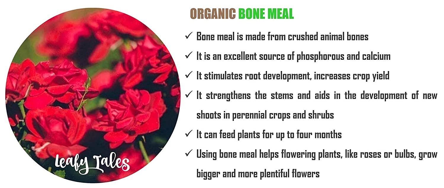 Leafy Tales Sterilized Bone Meal Organic Fertilizer for Plants 2kg - High Phosphorus & Calcium Supplement for Root Growth and Flowering | Natural Steamed Bone Meal Khad for Home Garden