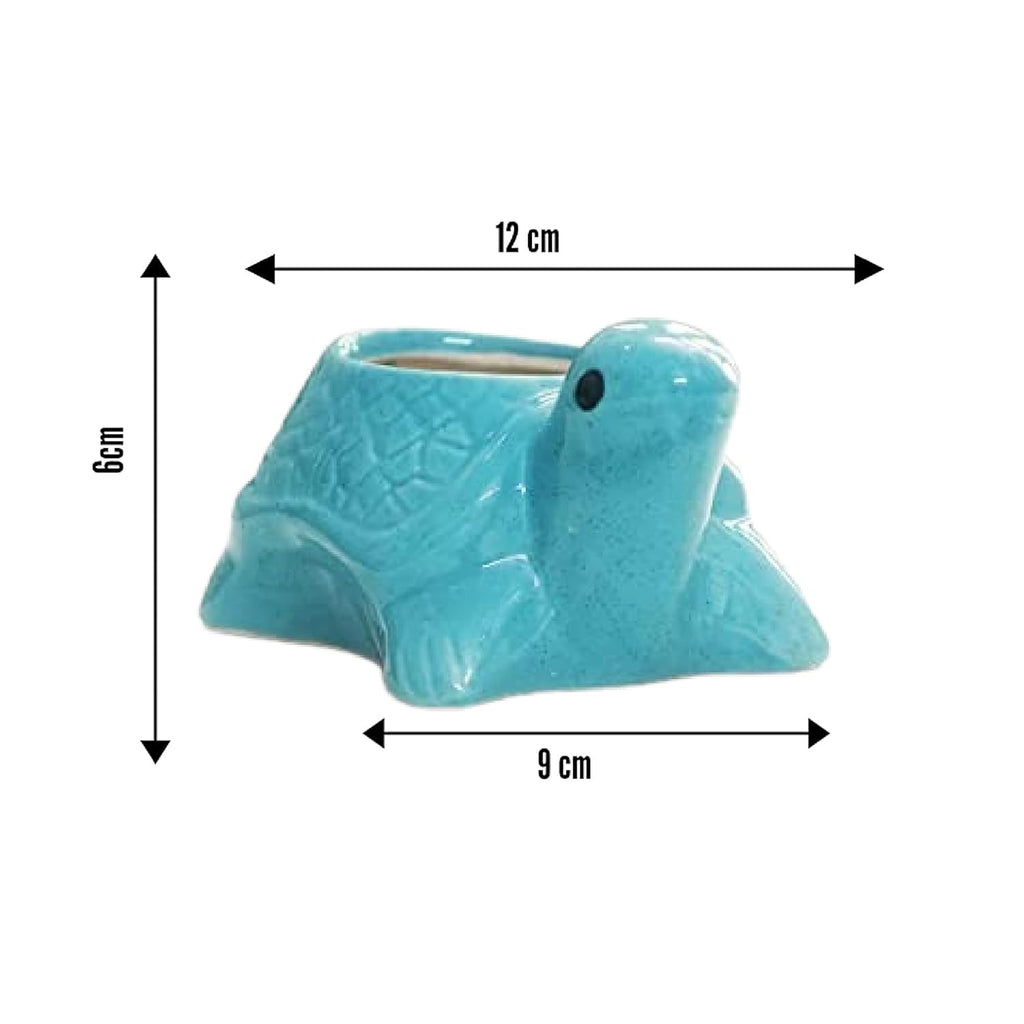 Leafy Tales Turtle Shape Ceramic Pot, Aqua, 4 Inch Size 1 pc
