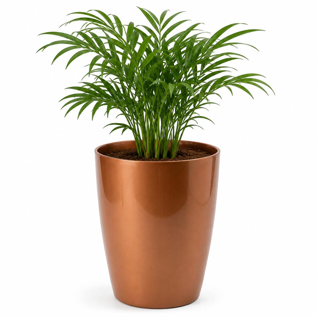 Leafy Tales Modern Round Tower Planter for Home Décor 12 INCH, Highly Durable,Lightweight Indoor Outdoor Planter, Flower Pot Gamla, Pot for Balcony Garden, Vegetables, Flowers & Greenery