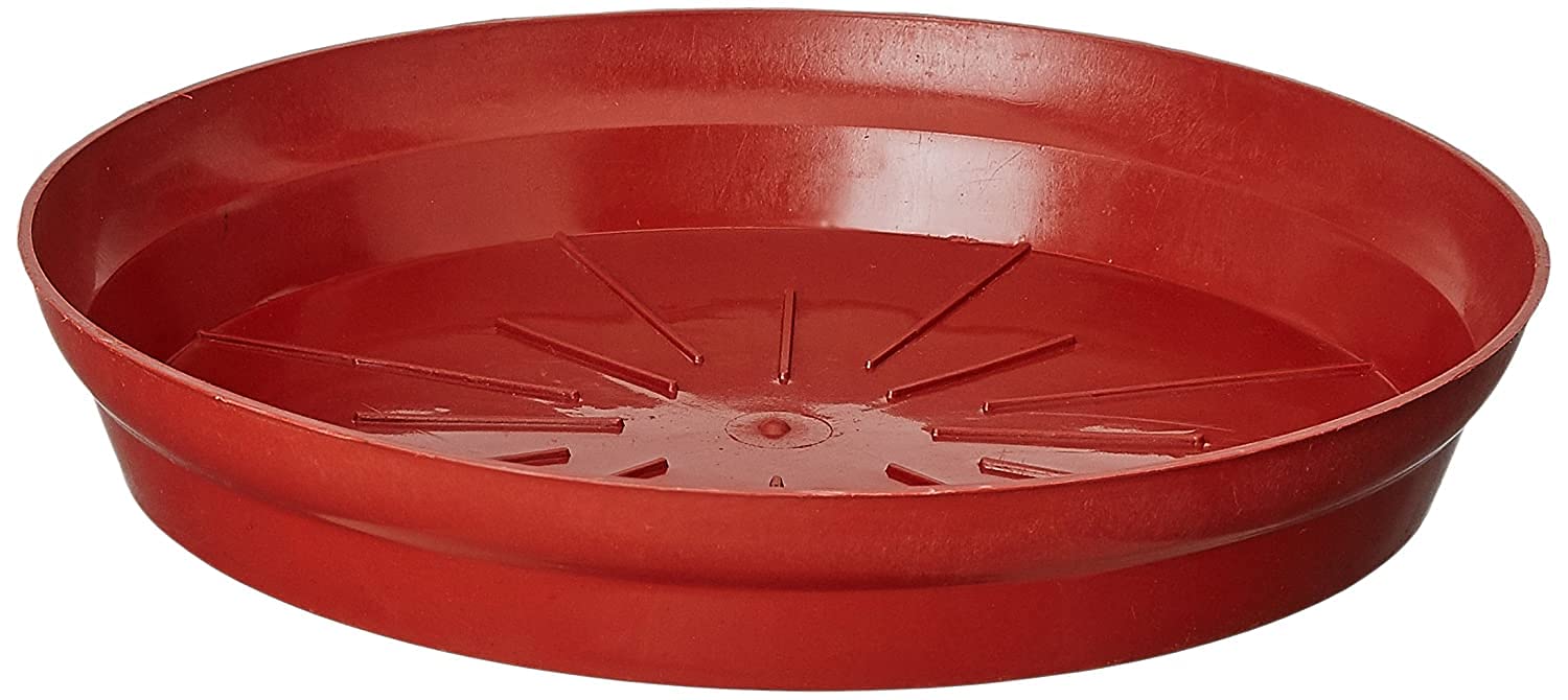 Leafy Tales Planter Bottom Plate/ Gamla Dripping Tray, Terracotta Color Plastic pots | (10-inch, Brown, Pack of 5)