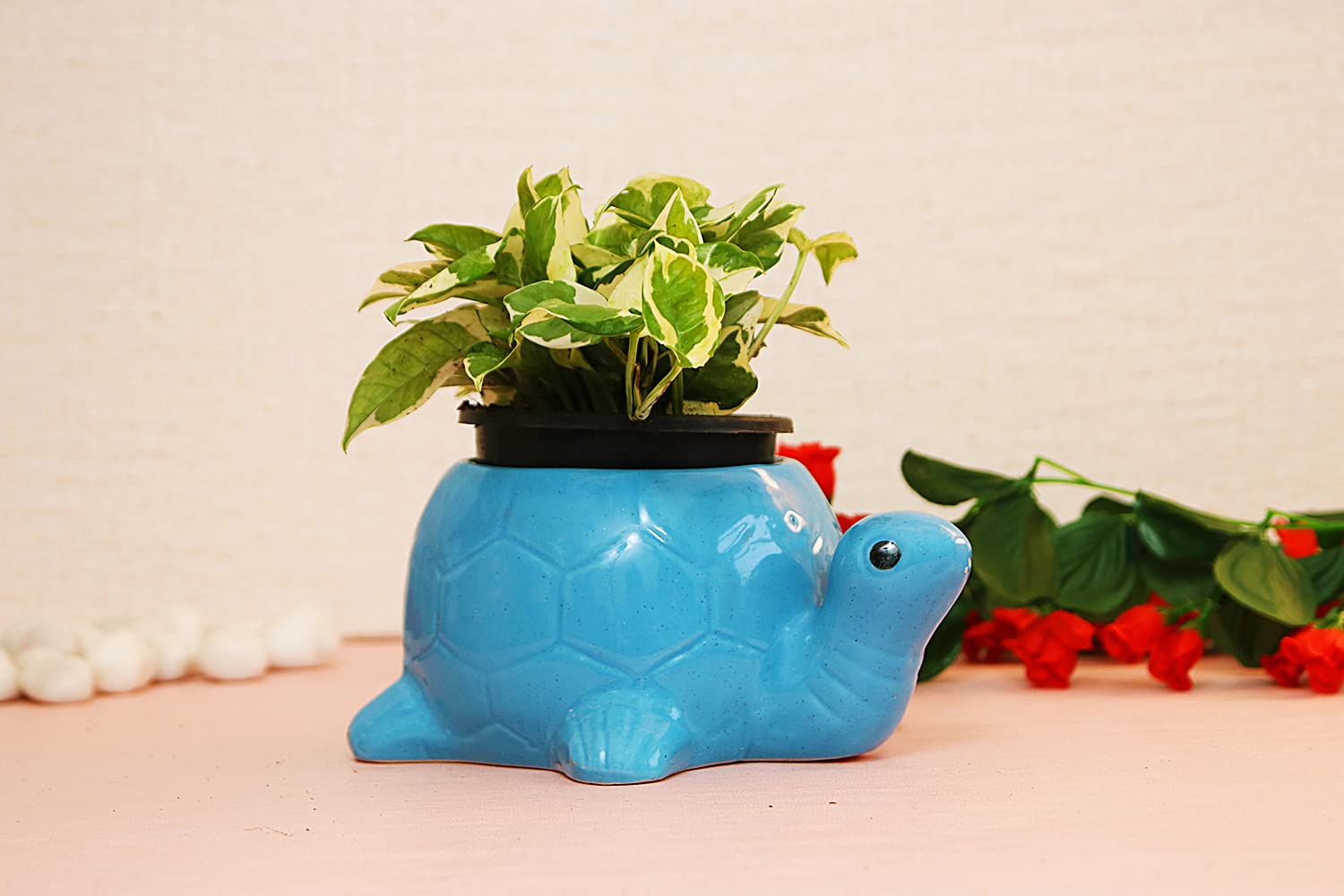 Leafy Tales Turtle Shape Ceramic Pot Set of 4, Pot Only | Home Décor | Multicolor, Color May Vary, 4 Inch (Turtle Set 4)