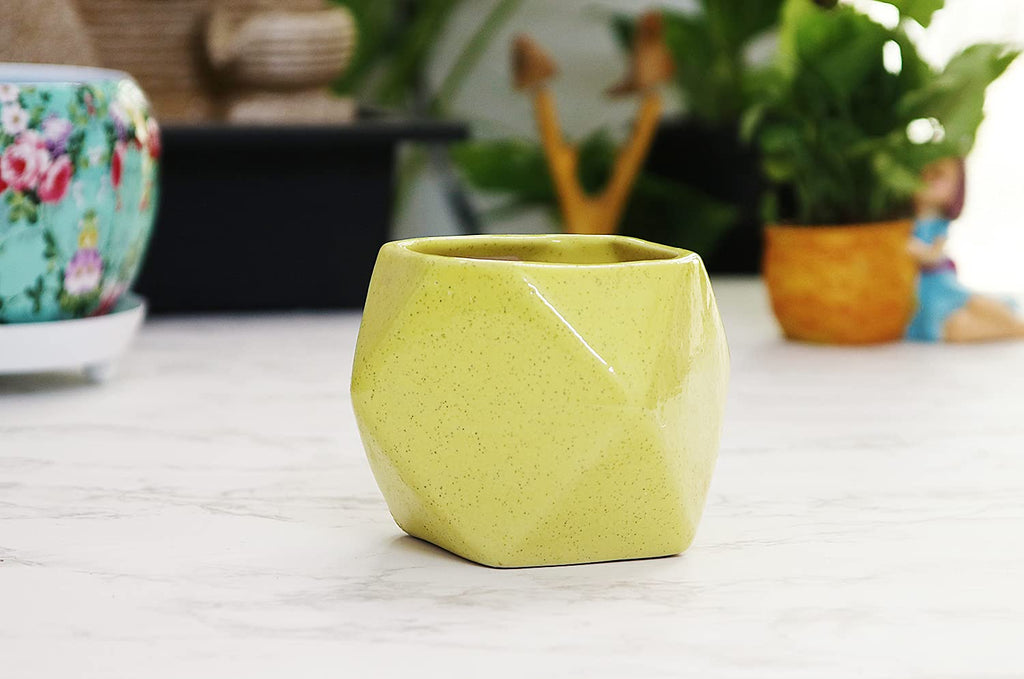 Leafy Tales Polygon Shape Ceramic Pot, Yellow, 1 pc (Polygon Yellow)