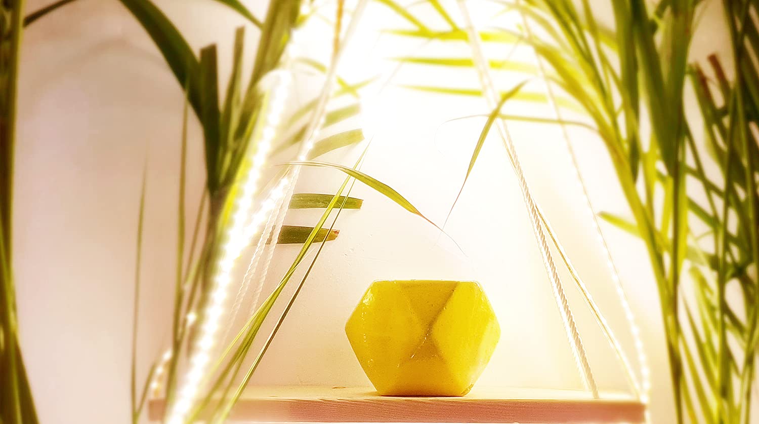 Leafy Tales Polygon Shape Ceramic Pot, Yellow, 1 pc (Polygon Yellow)