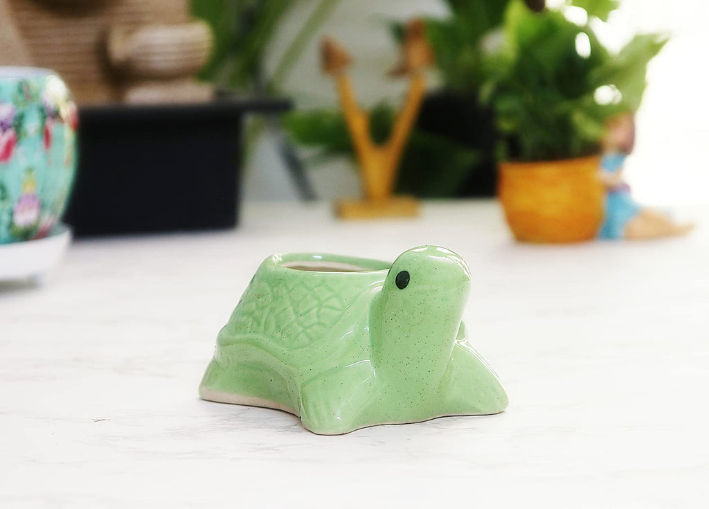 Leafy Tales Turtle Shape Ceramic Pot, Green, 4 Inch Size 1 pc