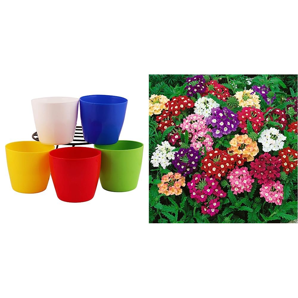 Leafy Tales Plastic Diamond Pots, Multicolor, 10x10x6 cm, 10 pcs (Square-10)