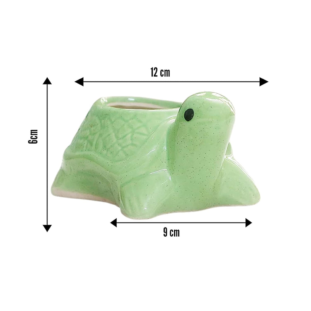 Leafy Tales Turtle Shape Ceramic Pot, Green, 4 Inch Size 1 pc