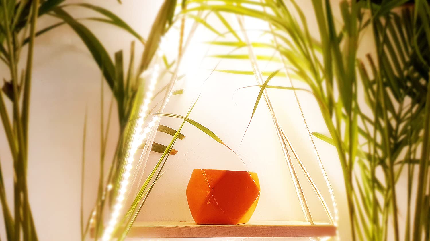 Leafy Tales Polygon Shape Ceramic Pot, Orange, 1 pc (Polygon Orange)