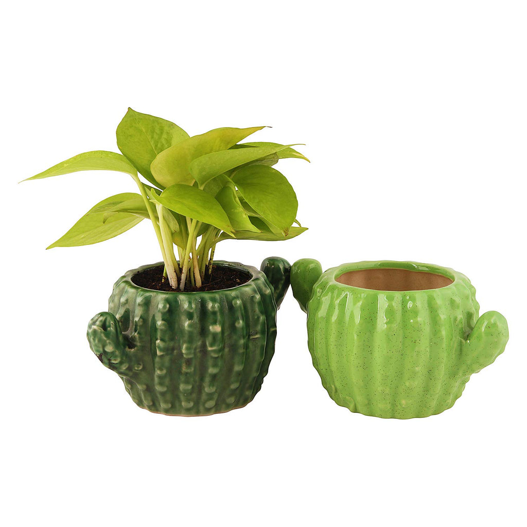 Leafy Tales Ceramic Cactus Shape Planter, Small Size - Light Green, 1 Piece