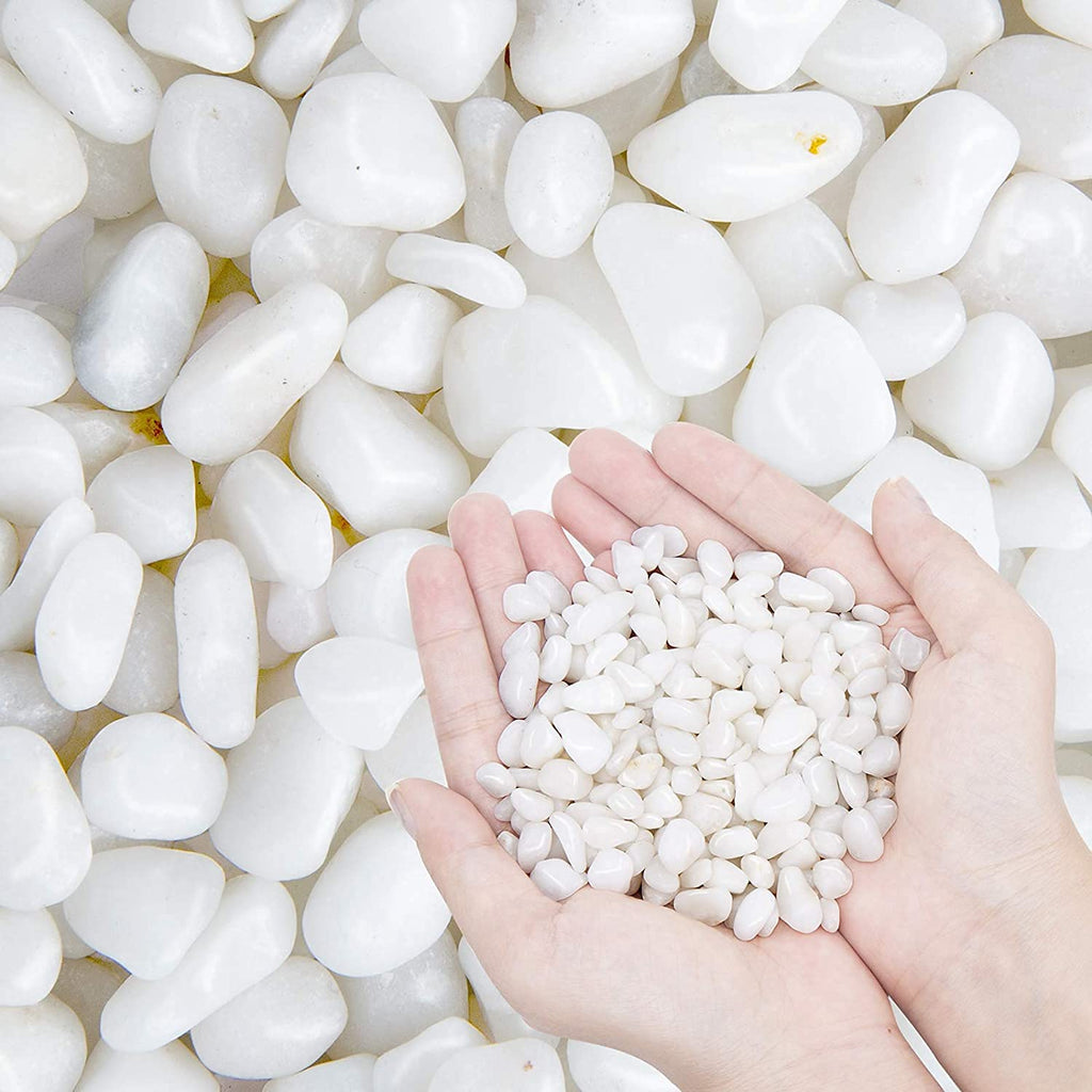 Leafy Tales White Polished Marble Stone Pebbles for Home & Garden Decoration| White Polish 2 Kg