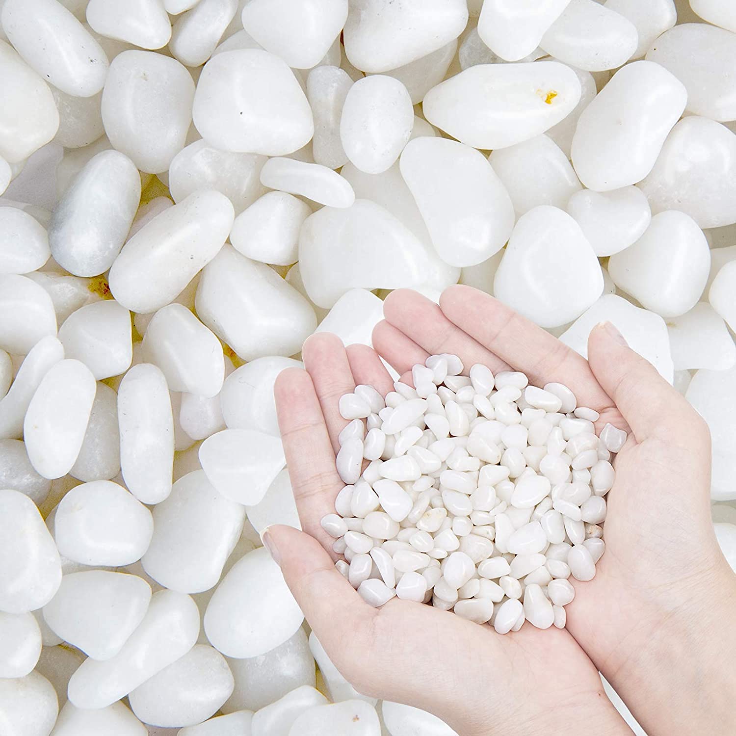 Leafy Tales White Polished Marble Stone Pebbles for Home & Garden Decoration| White Polish 2 Kg