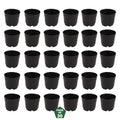 Leafy Tales UV Plastic Round Pots for Plants (6 Inches, Black, Pack of 30) | Lightweight Indoor Outdoor Garden & Balcony Planters