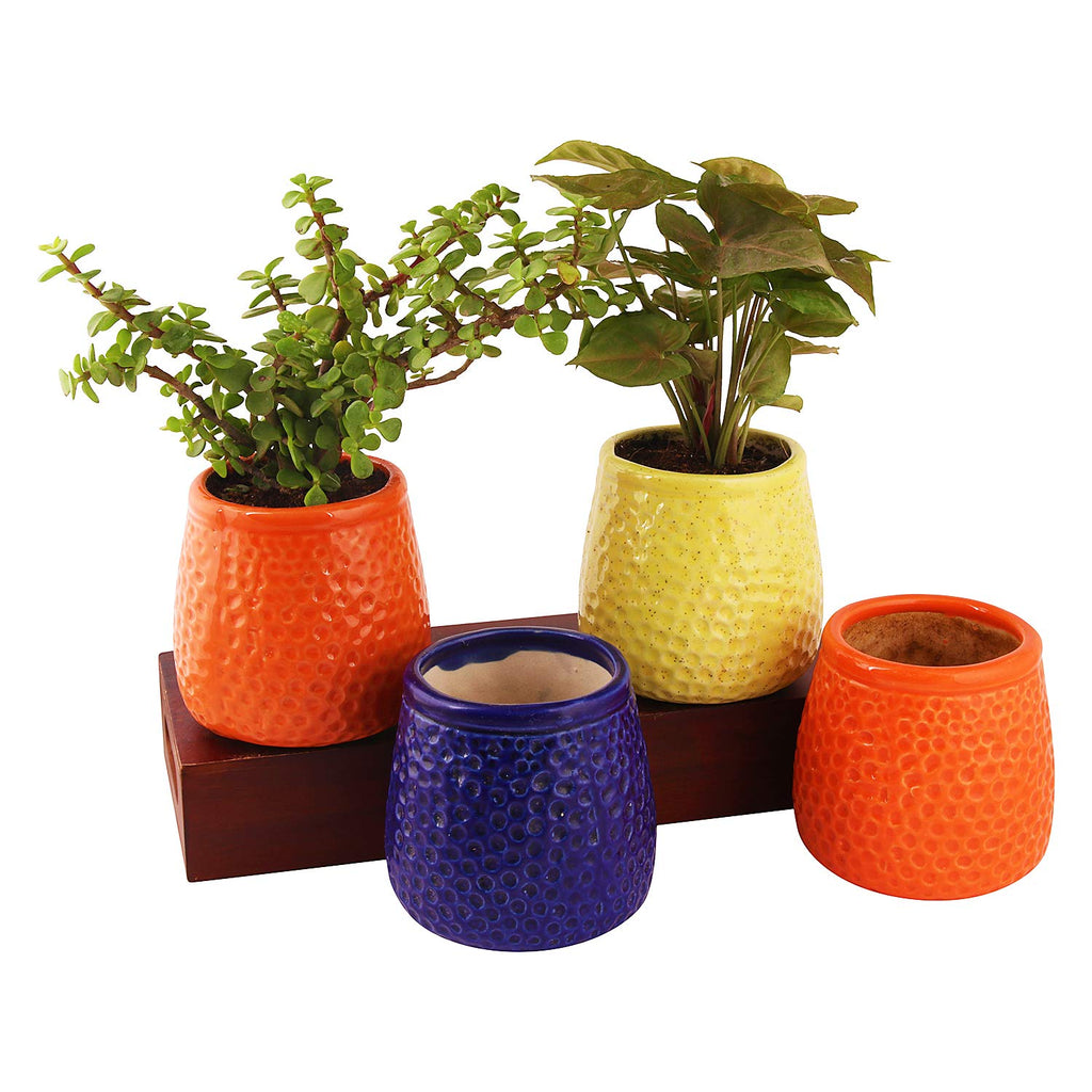 Leafy Tales Honeycomb Texture Ceramic Pot for Home Garden Decor Glossy Red