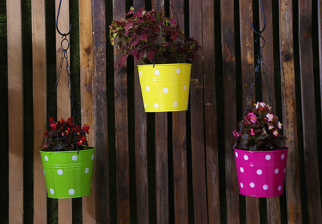 Leafy Tales Metal Chain Hanging Planter - Set of 5 (Rust Free - Red, Green, Yellow, Pink, Purple) - with Chains, 14 cm x 17 cm x 14.5 cm