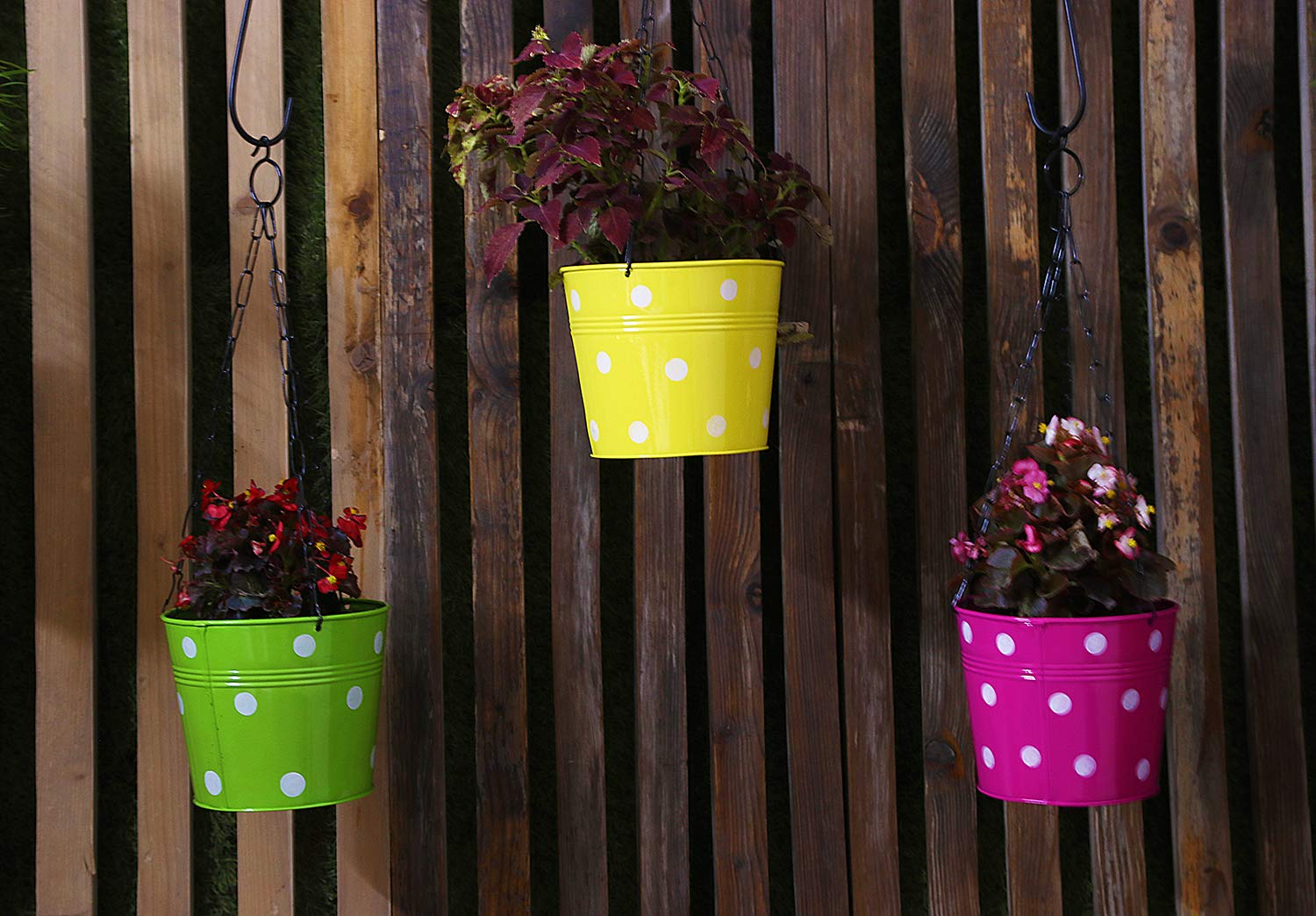 Leafy Tales Metal Chain Hanging Planter - Set of 5 (Rust Free - Red, Green, Yellow, Pink, Purple) - with Chains, 14 cm x 17 cm x 14.5 cm