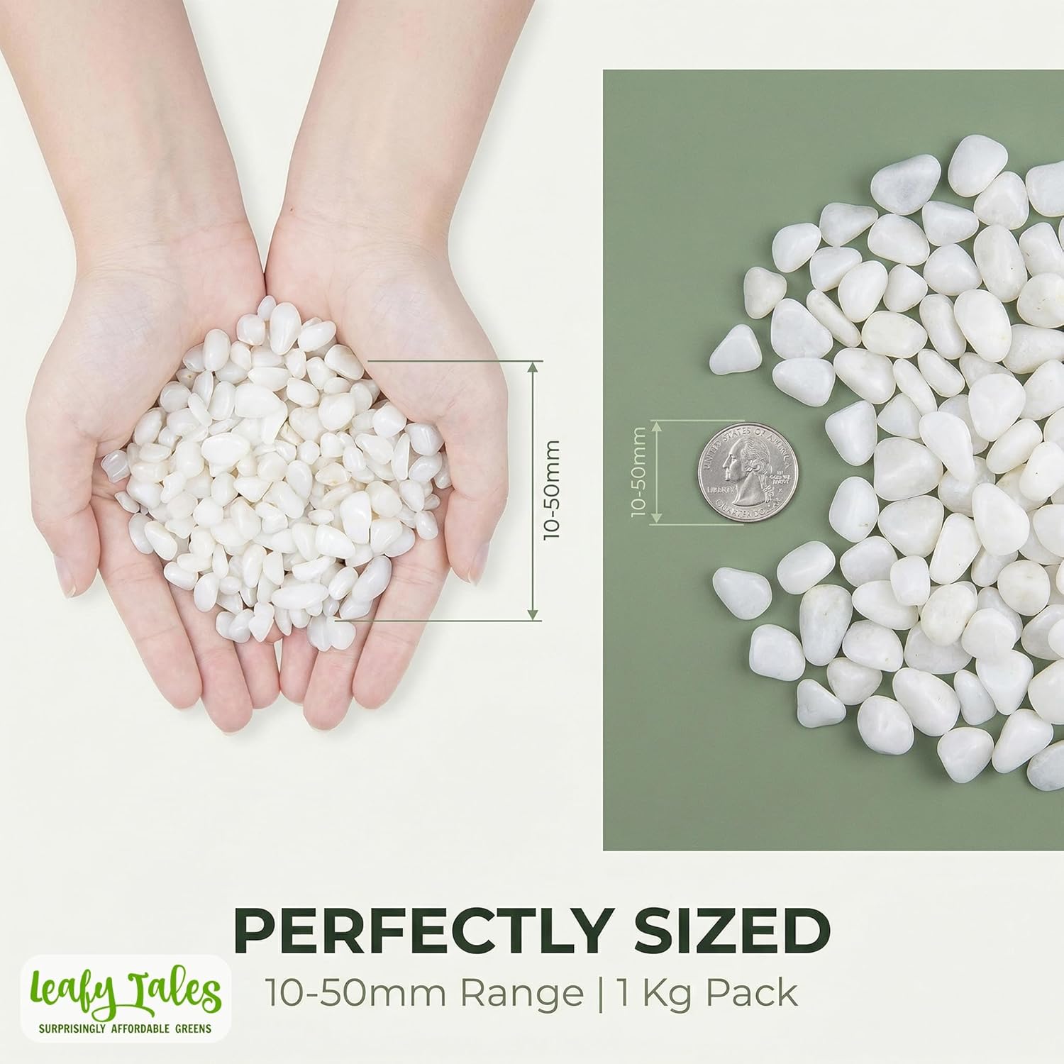 Leafy Tales White Polished Marble Stone Pebbles for Home & Garden Decoration| White Polish 1 Kg