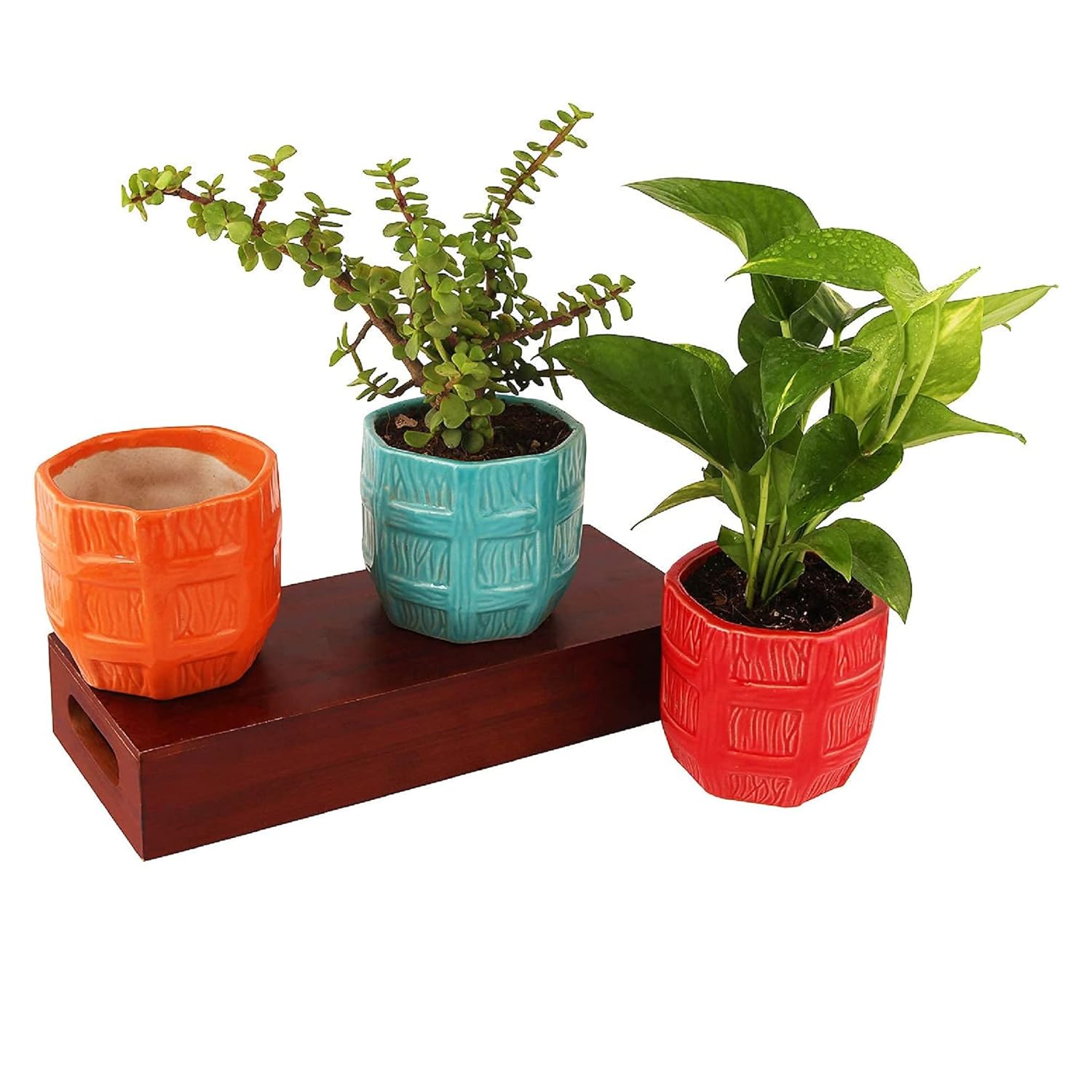 Leafy Tales Barrel Textured Ceramic Pot Planter for Home Garden Decor Office Decor, Orange, 1pc