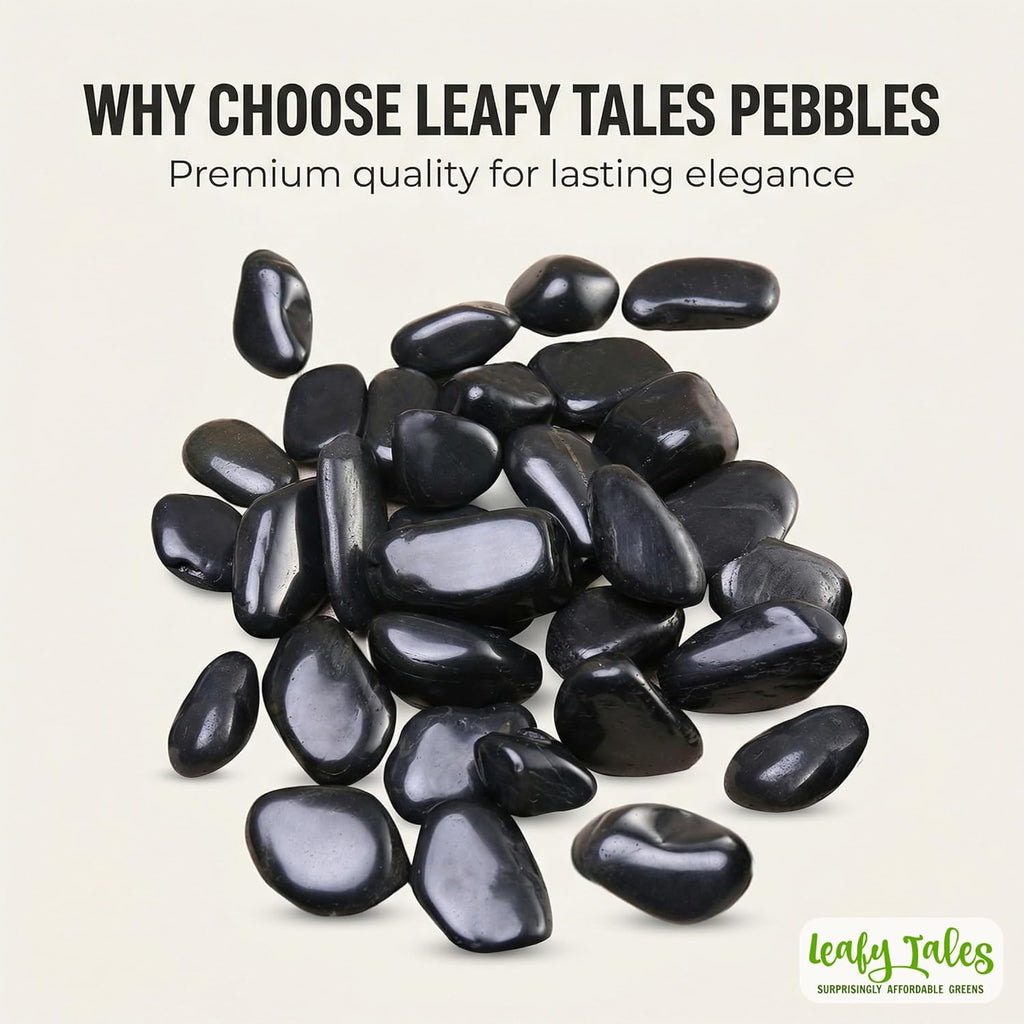 Leafy Tales Black Polish Marble Stone Pebbles for Home & Garden Decoration| Black Polish 5 Kg