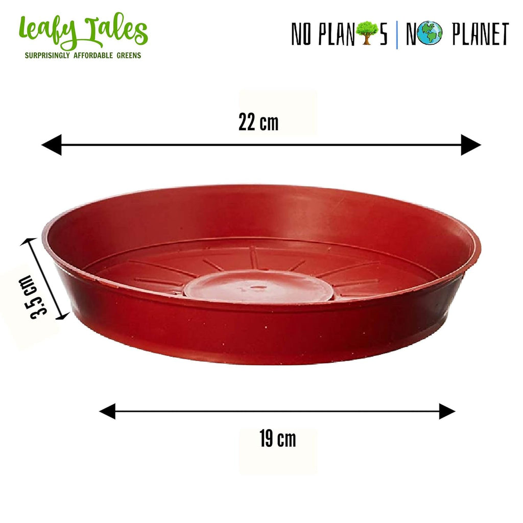 Leafy Tales Plants Bottom Plate, Drip Tray for Plants, Gamla, Terracotta Color| (8-inch, Brown, Set of 8)