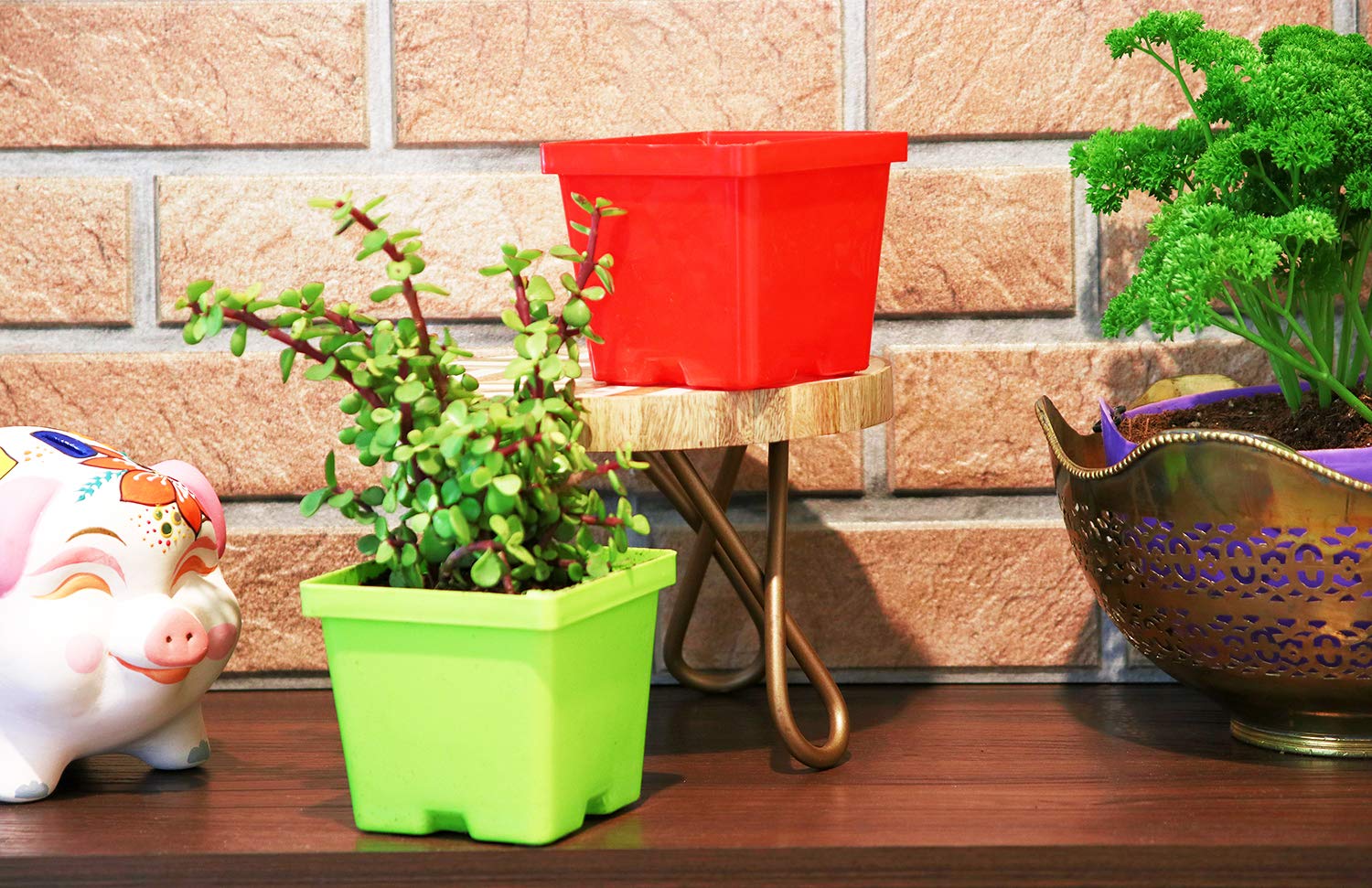 Leafy Tales Plastic Square Pots, Multicolor 9.5 x 10.5 x 8 cm 5 Piece, Small