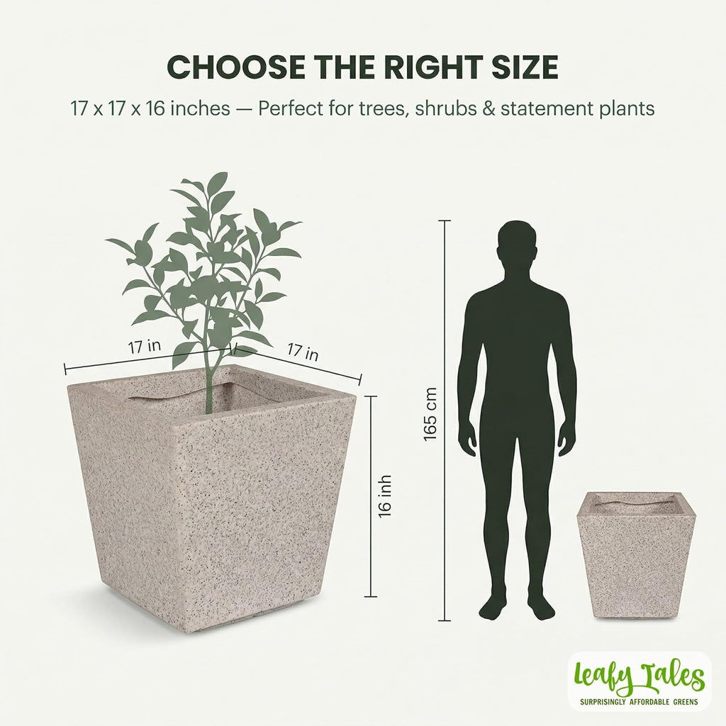 Leafy Tales Modern Square Planter for Home Decor 17 INCH, Highly Durable,Lightweight Indoor Outdoor Planter, Flower Pot Gamla,Tree Planter, Pot for Balcony Garden, Vegetables, Flowers & Greenery
