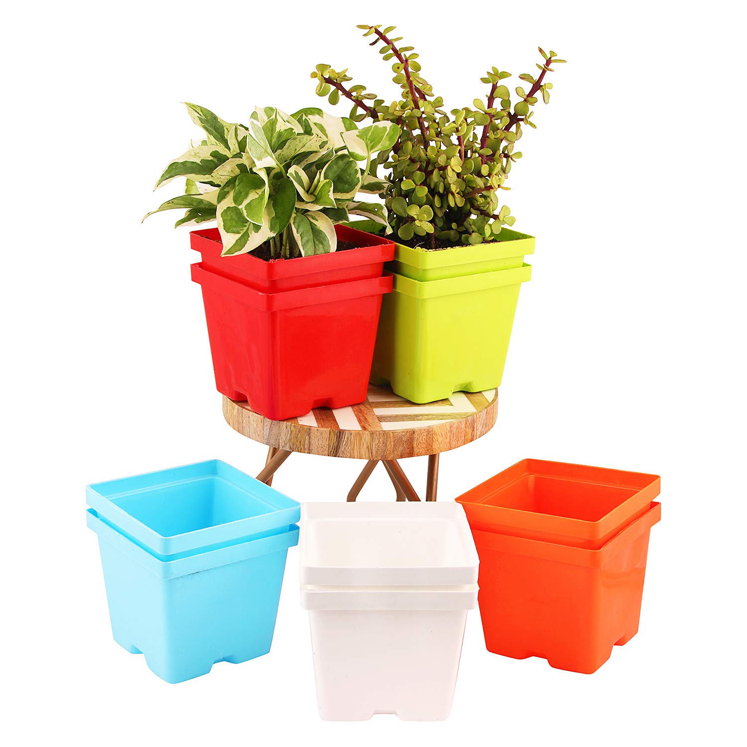 Leafy Tales Plastic Plant Pots - Multicolour, Small, 20 Pieces