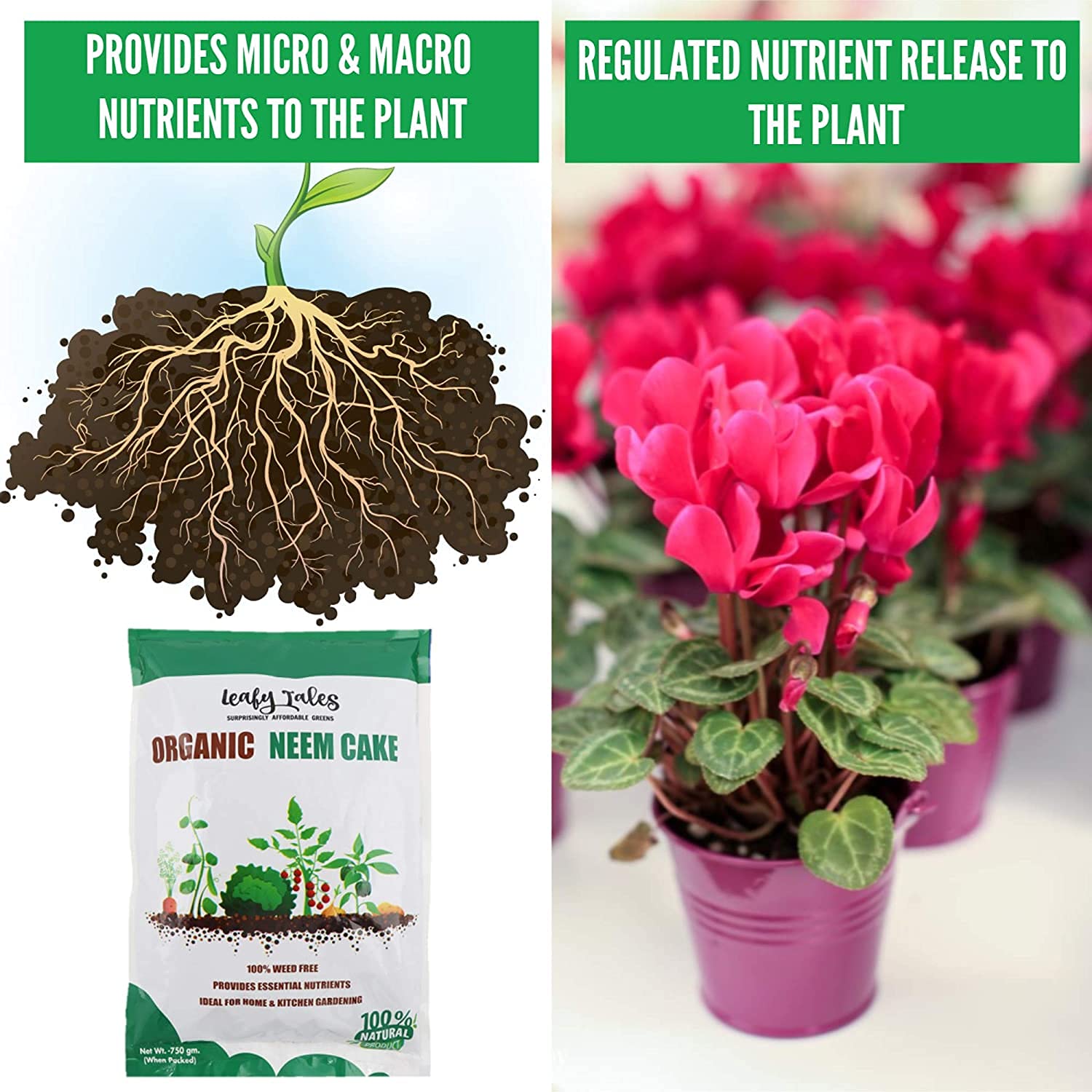 Leafy Tales Organic Neem Cake Powder for Plants 2kg - 100% Natural Neem Khali Fertilizer & Pest Repellent | Soil Conditioner & Growth Booster for Indoor and Outdoor Home Garden