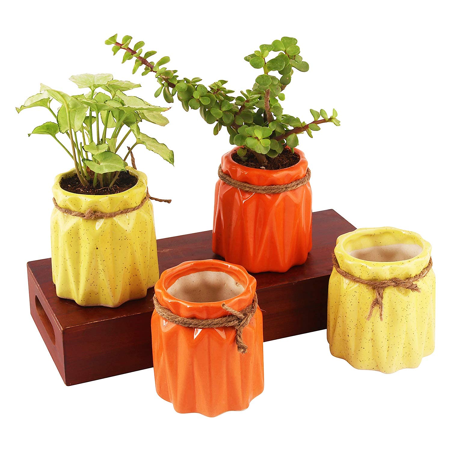 Leafy Tales Mystic Shape Ceramic Pot, Orange,1 pc