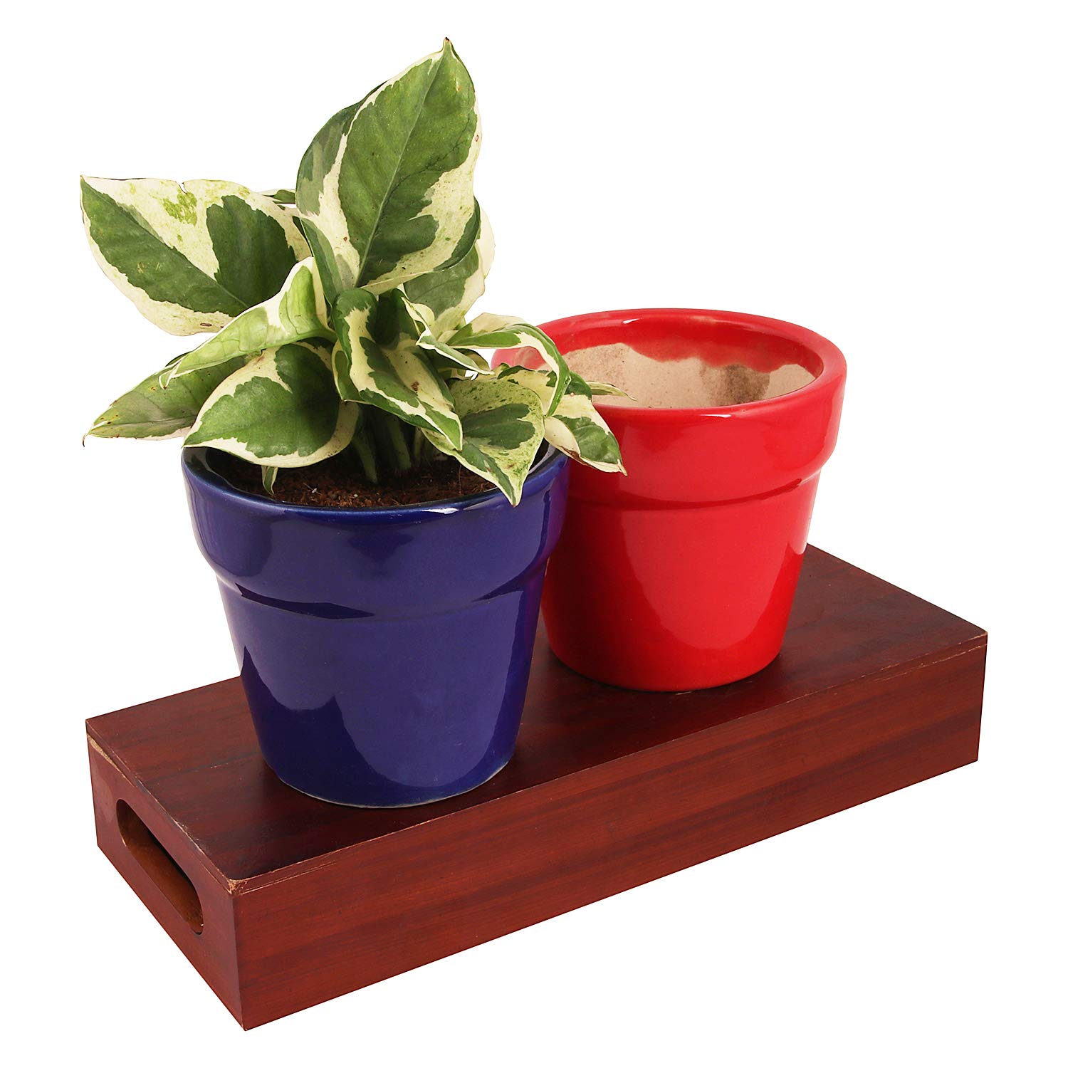 Leafy Tales Honeycomb Texture Ceramic Pot for Home Garden Decor Glossy Red