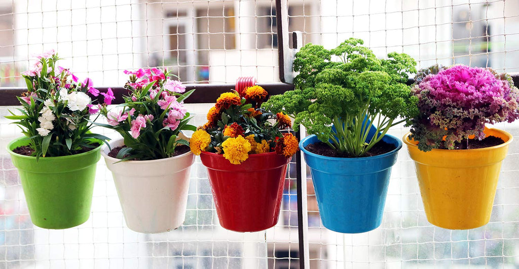 Leafy Tales Plastic Small Hook Hanging Pot, Multicolor 20.5 x 14.5 x 8.5 cm, 10 Pieces…