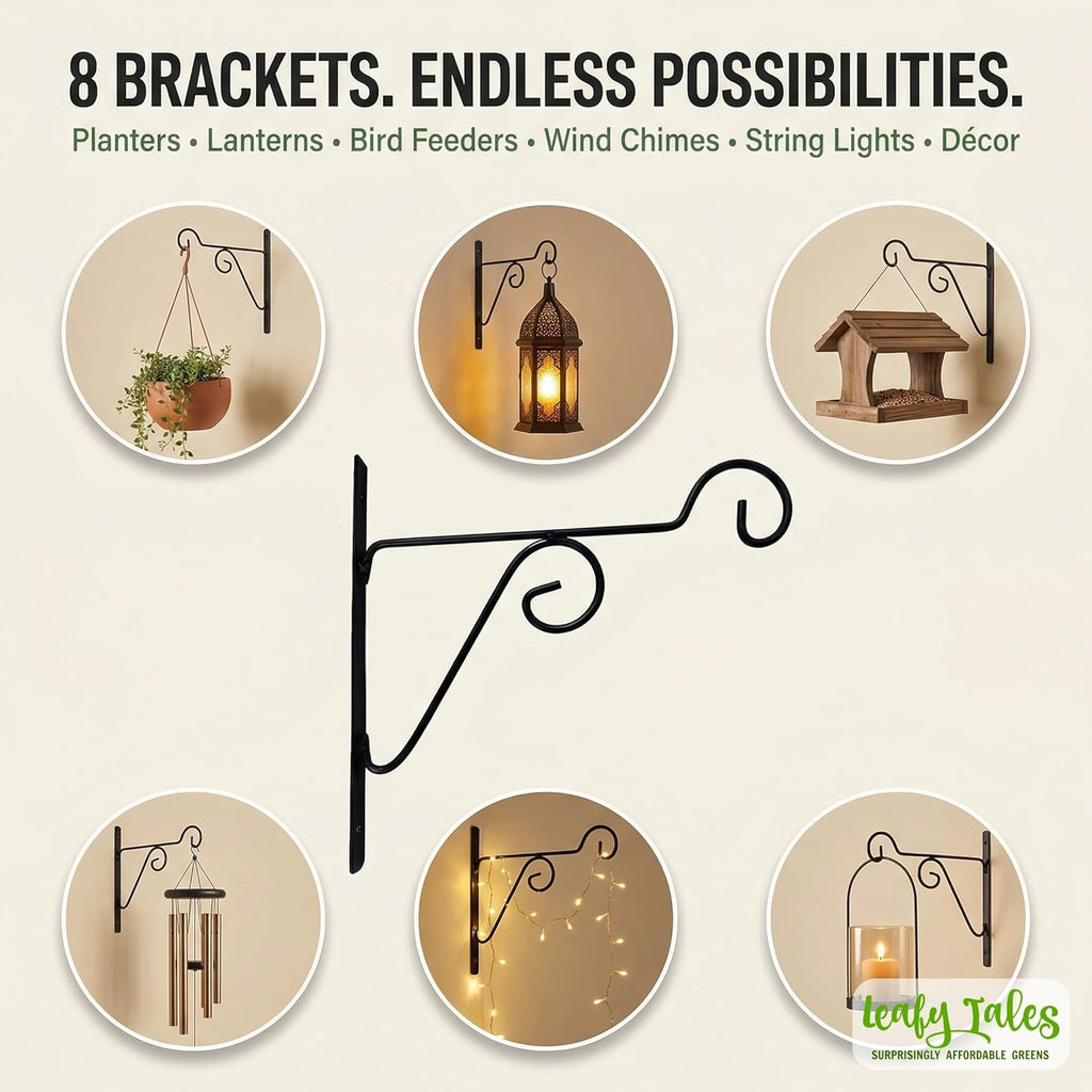 Leafy Tales Plant Hanger Brackets Wall Mounted - Metal Hanging Hooks, Holder for Indoor Outdoor Planters - Black - Pack of 8 (Wall Hanging-8)