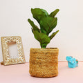 Leafy Tales HandWoven Round Pot Bag in Natural Jute - Plant Bag for All Plants, Indoor Outdoor Plant Sack (Set of 1) (Beige) (12x12 inches)