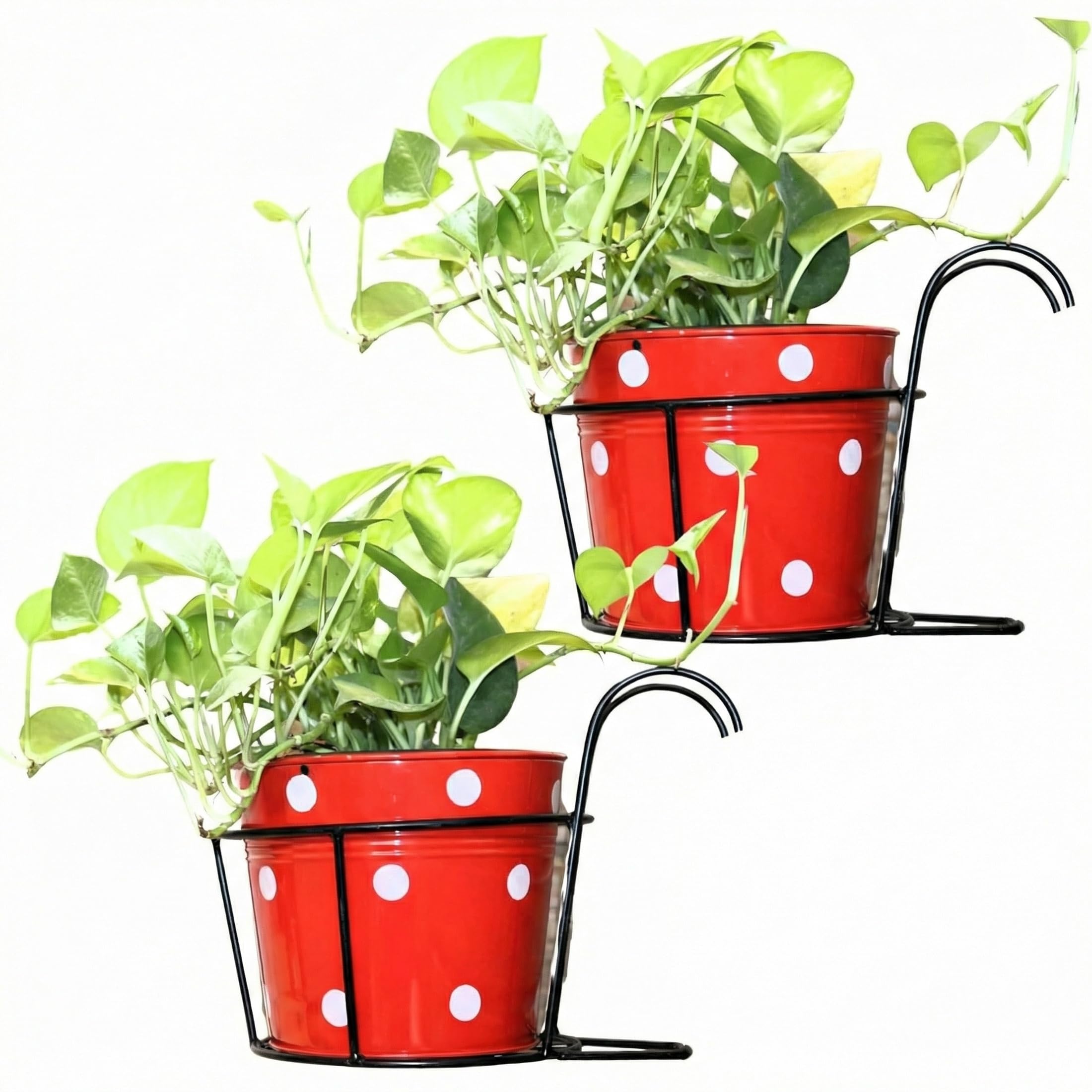 Leafy Tales Metal Hanging Flower Pot Railing Stand (Set of 1) - Rust-Proof Black Plant Holders for Balcony Grill & Terrace | Heavy Duty Hanging Planter Baskets for Home Garden Decor