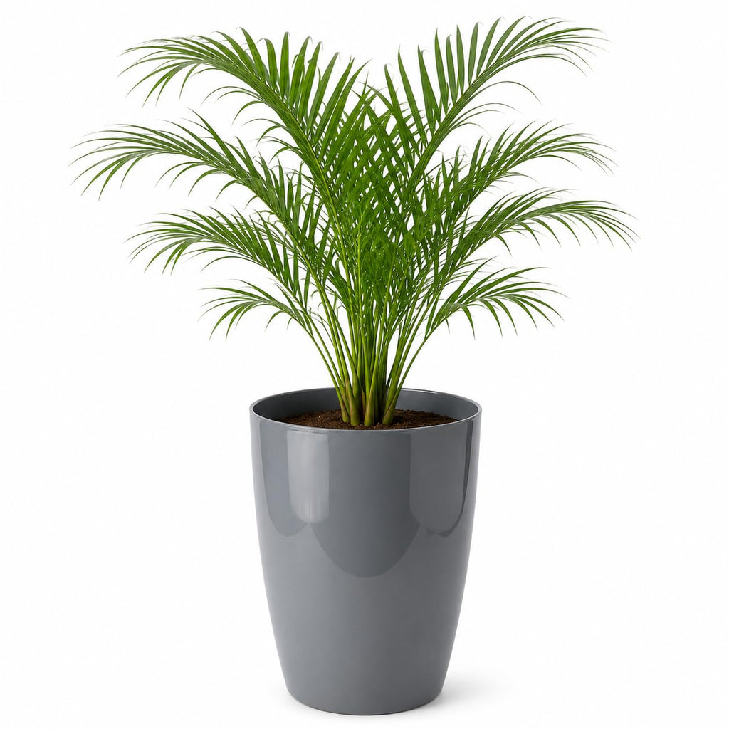 Leafy Tales Modern Round Tower Planter for Home Décor 12 INCH, Highly Durable,Lightweight Indoor Outdoor Planter, Flower Pot Gamla, Pot for Balcony Garden, Vegetables, Flowers & Greenery