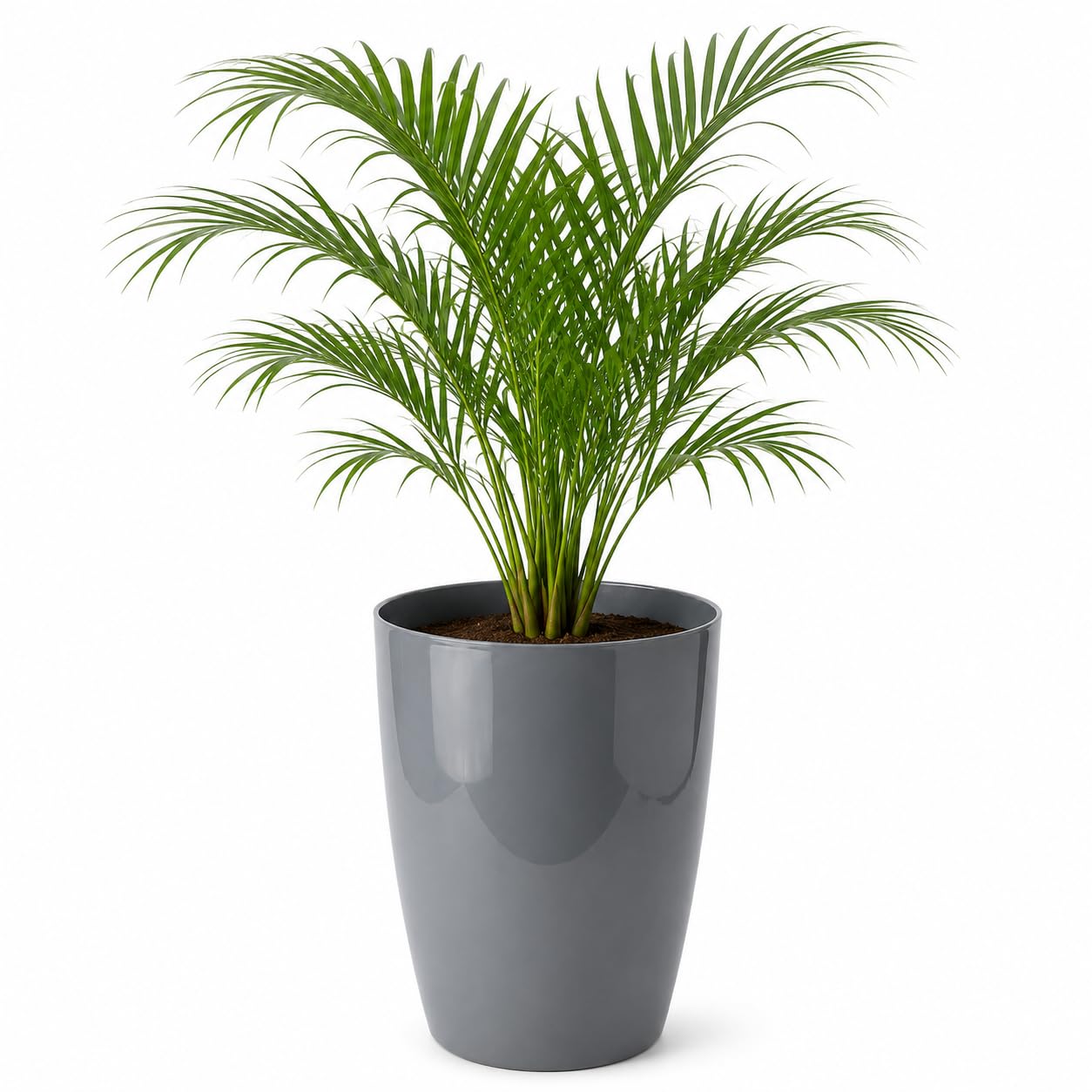 Leafy Tales Modern Round Tower Planter for Home Décor 12 INCH, Highly Durable,Lightweight Indoor Outdoor Planter, Flower Pot Gamla, Pot for Balcony Garden, Vegetables, Flowers & Greenery