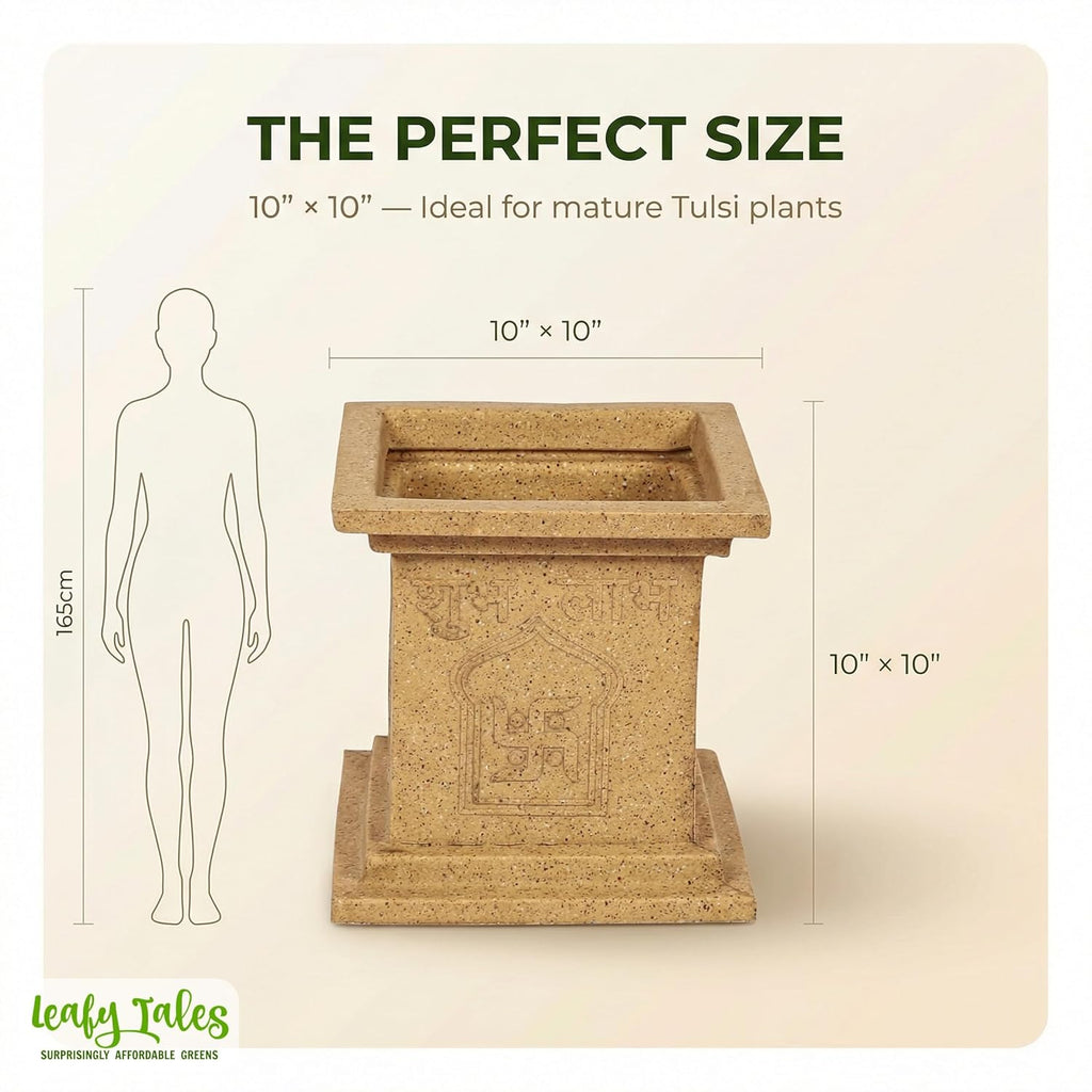 Leafy Tales Modern Greek Tulsi Pot/Planter for Home Décor 10 INCH, Highly Durable,Lightweight Indoor Outdoor Planter, Flower Pot Gamla,Tree Planter