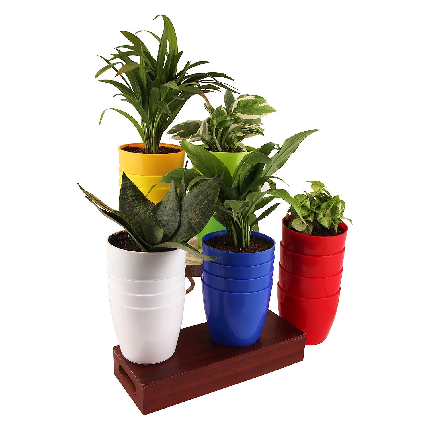 Leafy Tales Plastic Pots, Pots for Plants, Gardening (Multicolour, Size: Small, Set of 5)