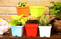 Leafy Tales Plastic Square Pots, Multicolor 9.5 x 10.5 x 8 cm 5 Piece, Small