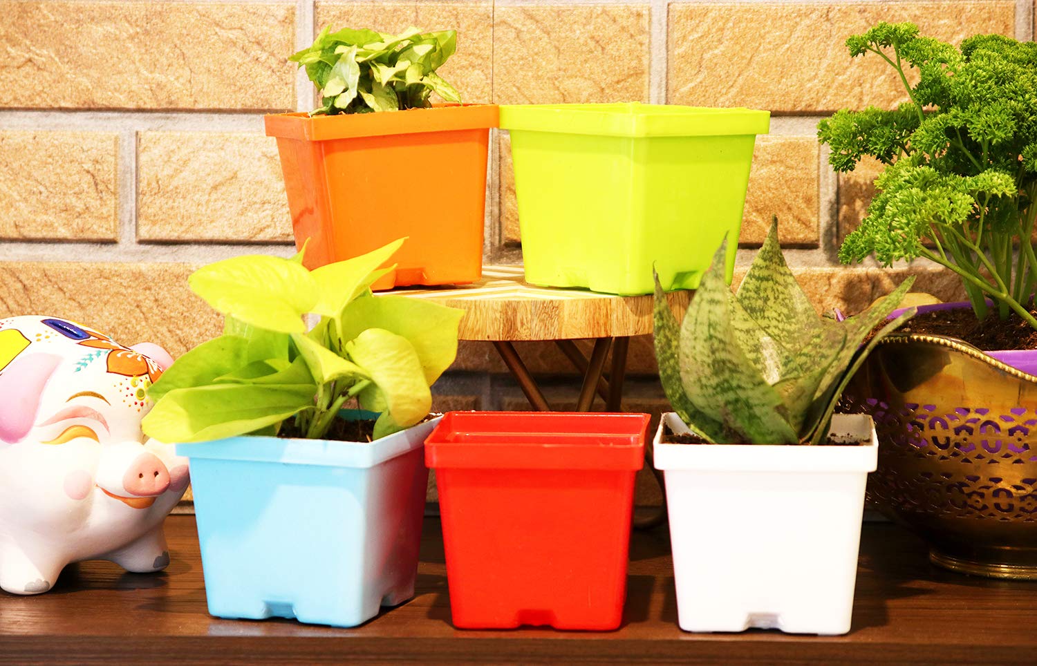 Leafy Tales Plastic Square Pots, Multicolor 9.5 x 10.5 x 8 cm 5 Piece, Small