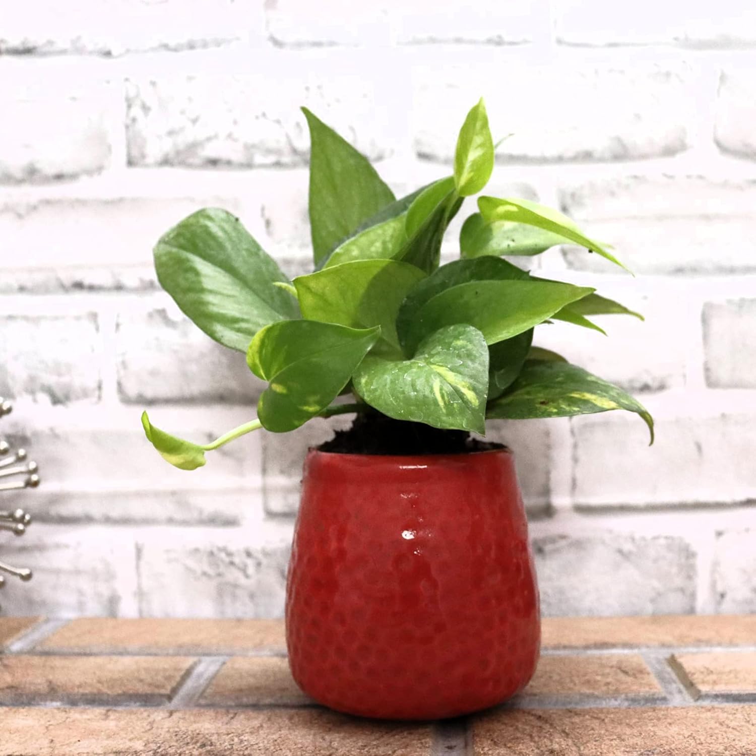 Leafy Tales Honeycomb Texture Ceramic Pot for Home Garden Decor Glossy Red