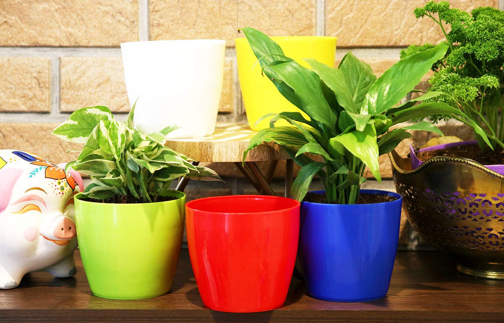 Leafy Tales Plastic Cool Pot, Multicolor 10 x 10 x 8 cm 10 pcs, small