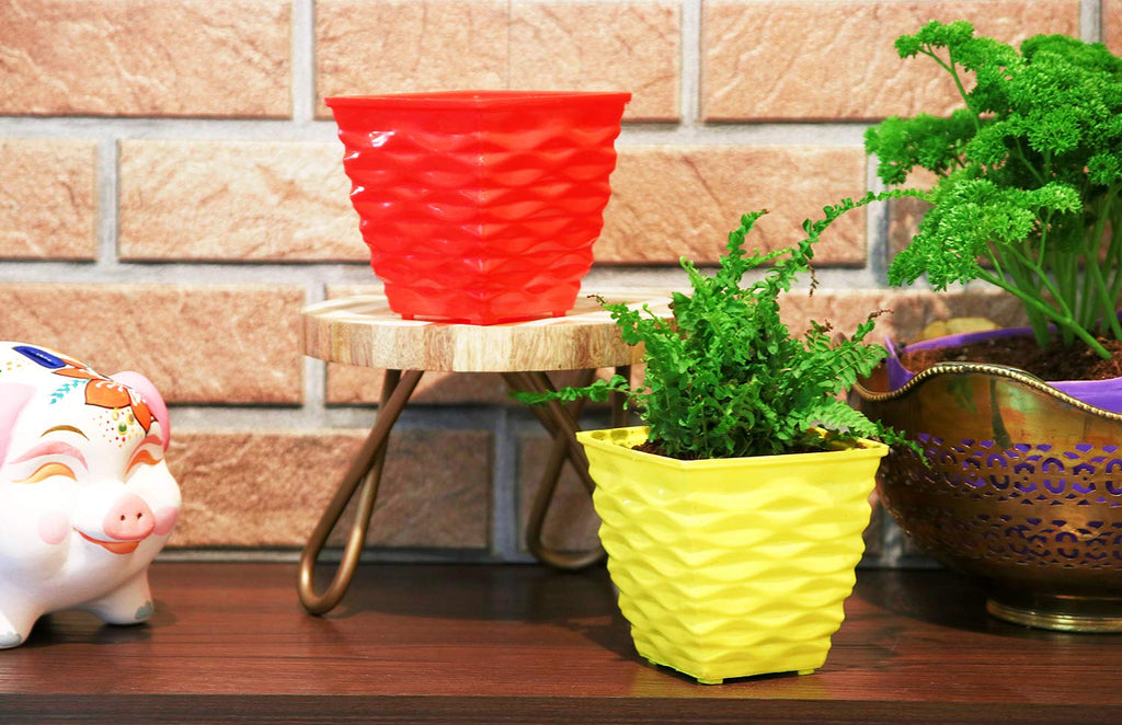 Leafy Tales Plastic Diamond Pots, Multicolor, 10x10x6 cm, 10 pcs (Square-10)