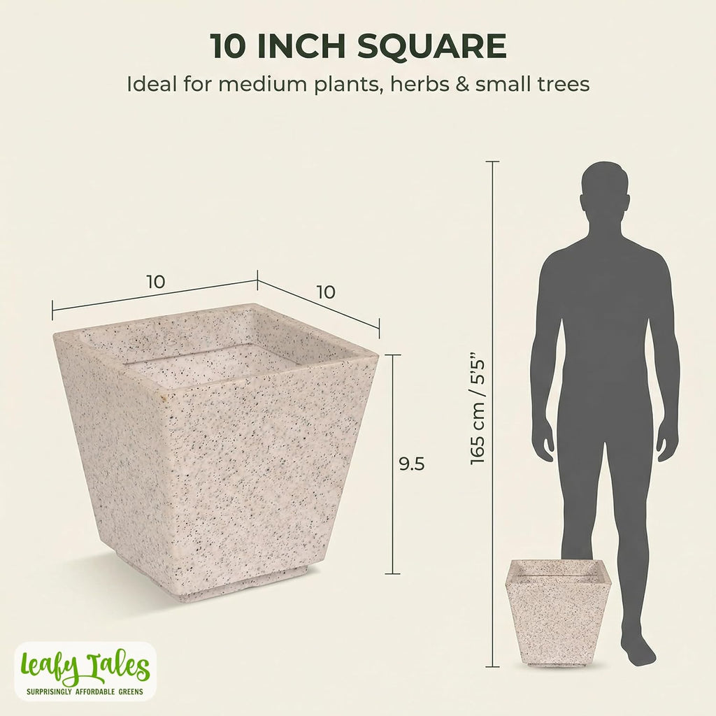 Leafy Tales Modern Square Planter for Home Decor 10 INCH, Highly Durable,Lightweight Indoor Outdoor Planter, Flower Pot Gamla,Tree Planter, Pot for Balcony Garden, Vegetables, Flowers & Greenery