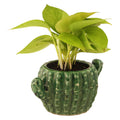 Leafy Tales Ceramic Cactus Shape Planter, Small Size - 1 pc, Olive, Medium